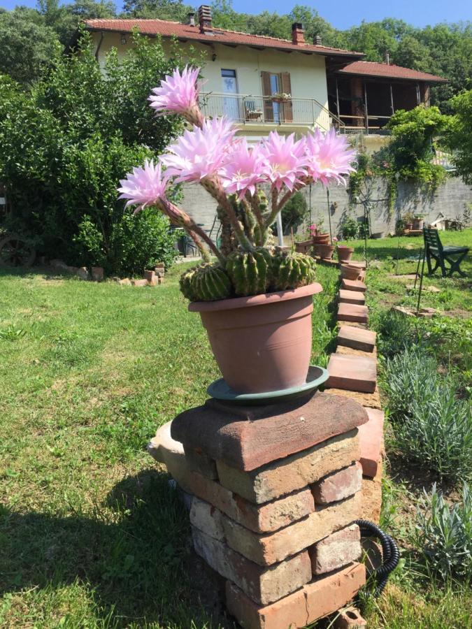 Oca Carolina Bed & Breakfast Buttigliera Alta