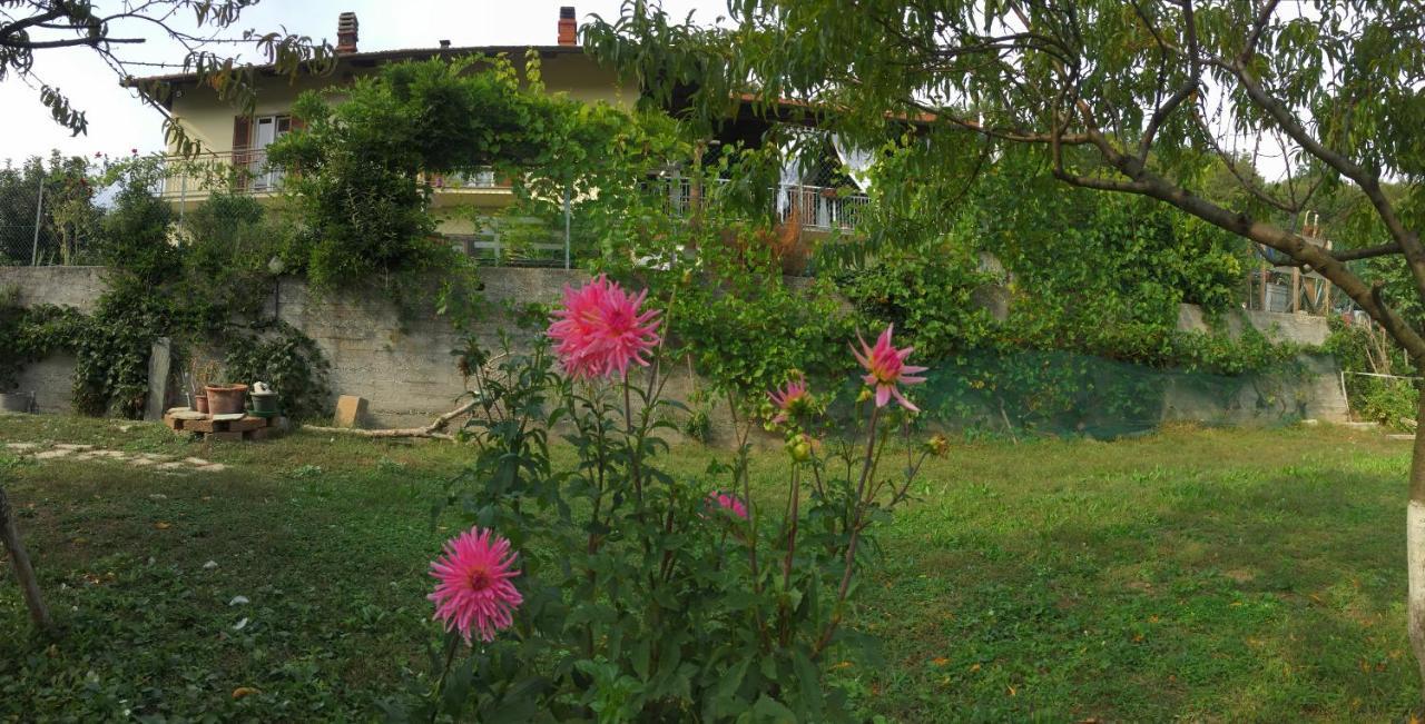 Bed & Breakfast Oca Carolina Buttigliera Alta