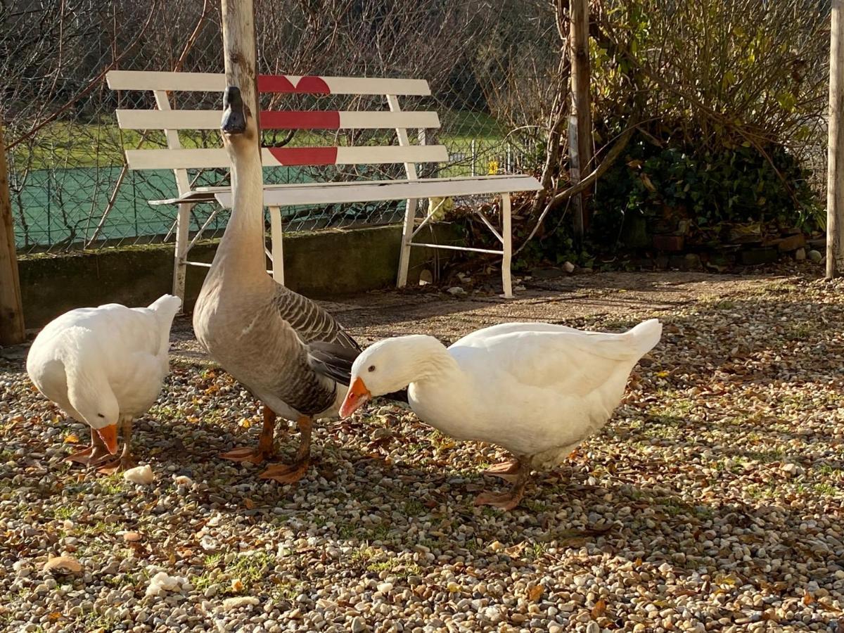 Bed & Breakfast Oca Carolina Buttigliera Alta