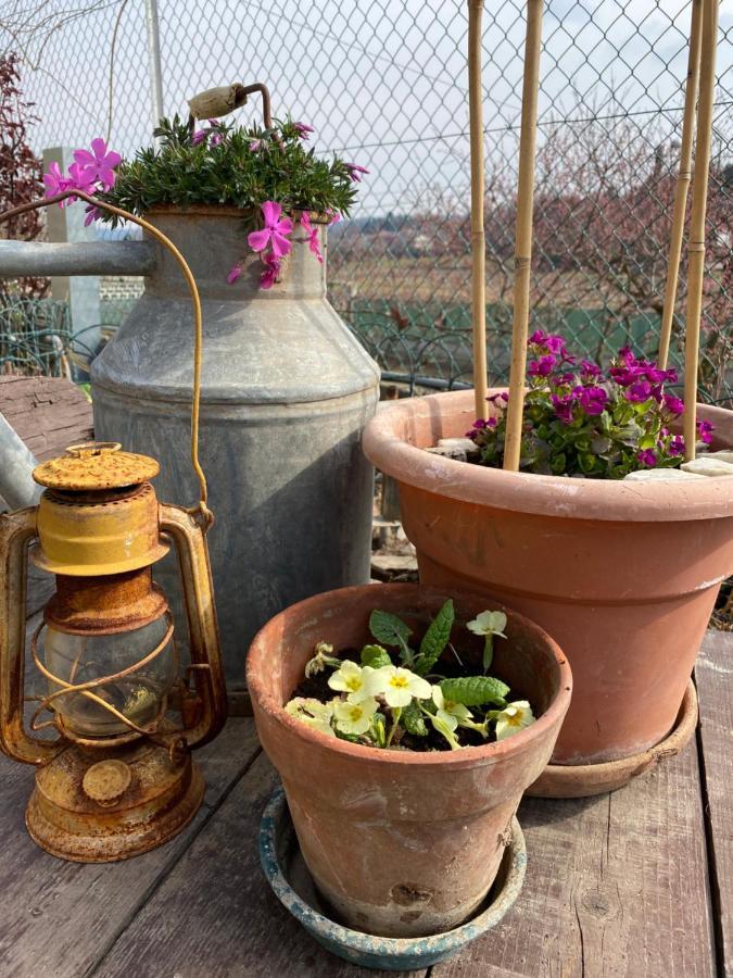 Oca Carolina Bed & Breakfast Buttigliera Alta