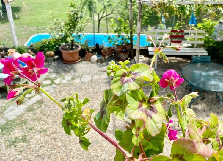 Oca Carolina Bed & Breakfast *