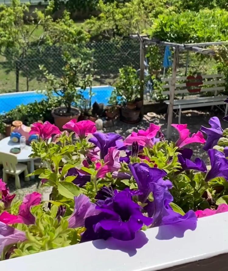 Oca Carolina Bed & Breakfast Buttigliera Alta