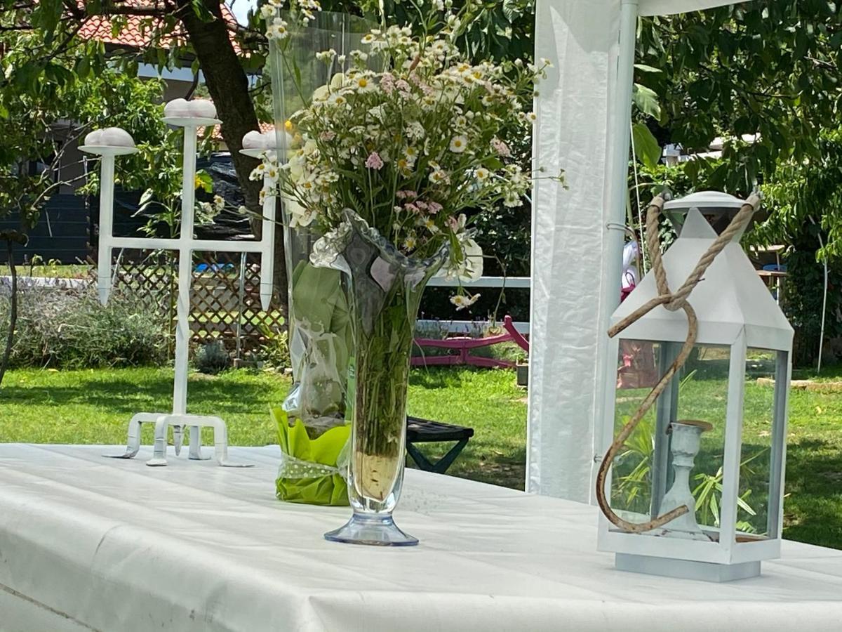 Bed & Breakfast Oca Carolina Buttigliera Alta