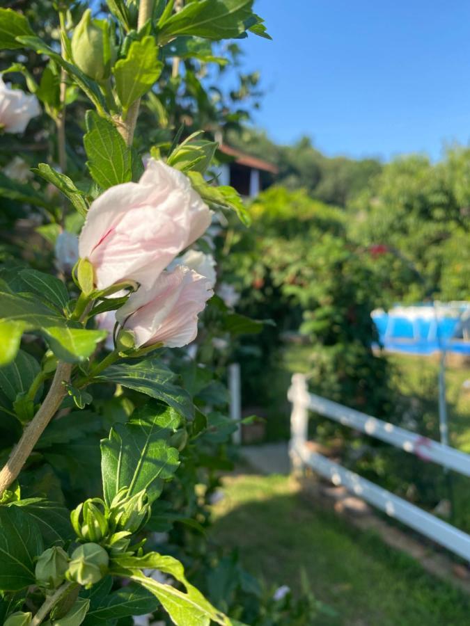 Bed & Breakfast Oca Carolina