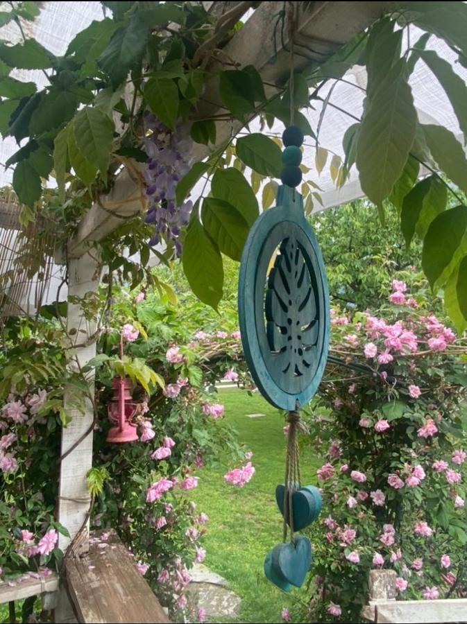 Oca Carolina Bed & Breakfast *